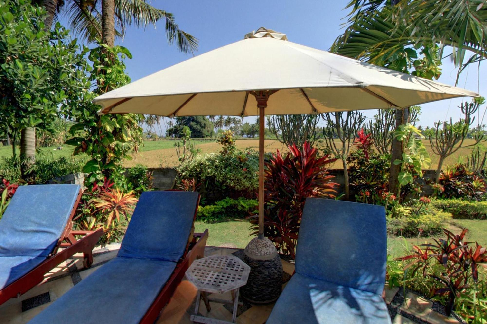 Sawah Lovina Hotel Kültér fotó