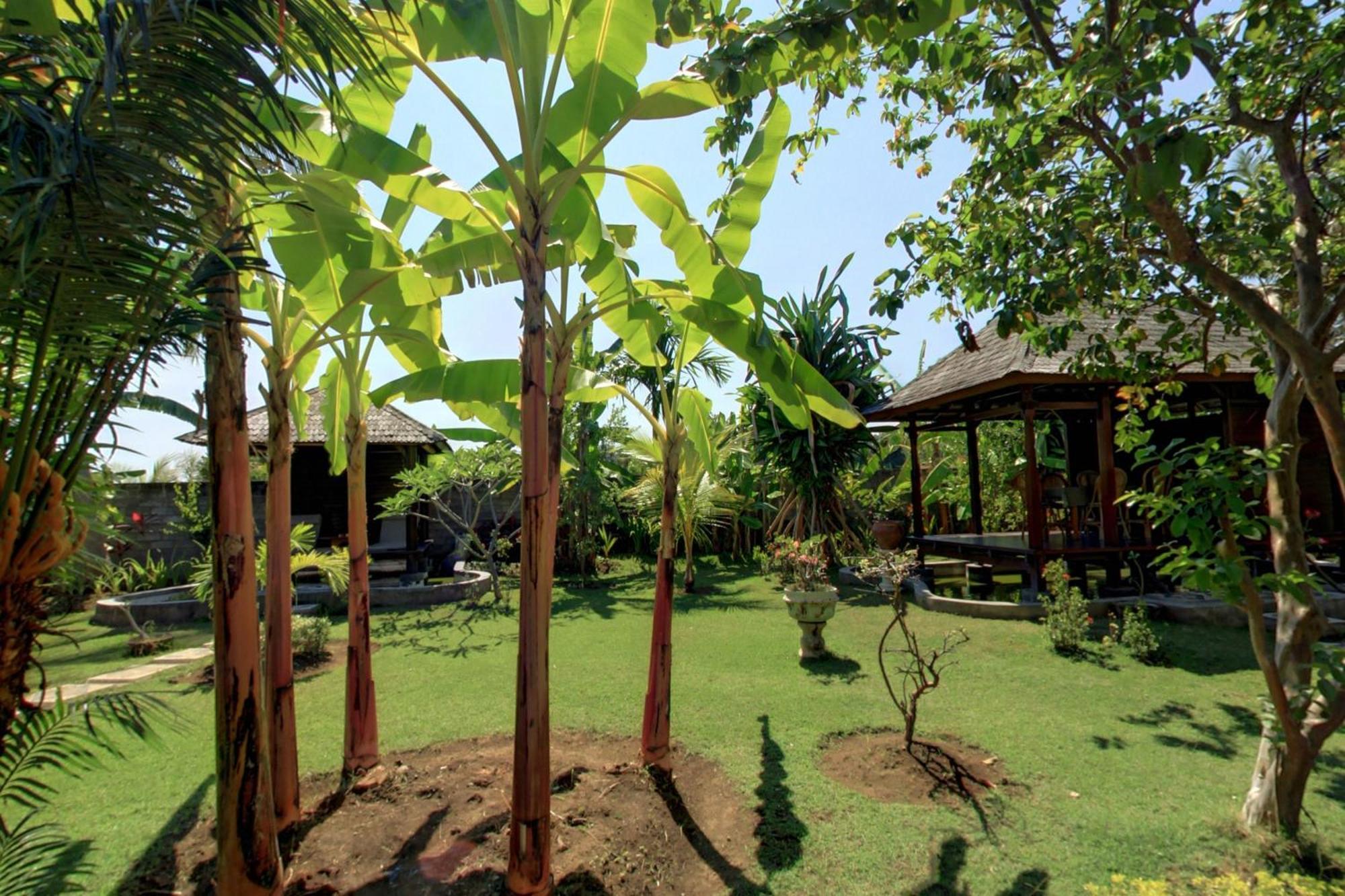 Sawah Lovina Hotel Kültér fotó